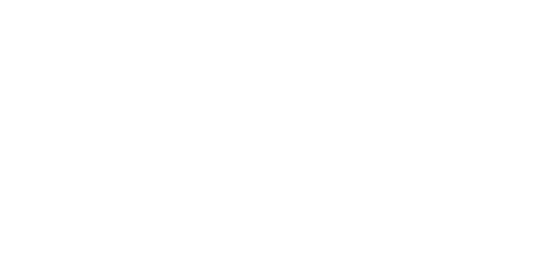 Union Pay